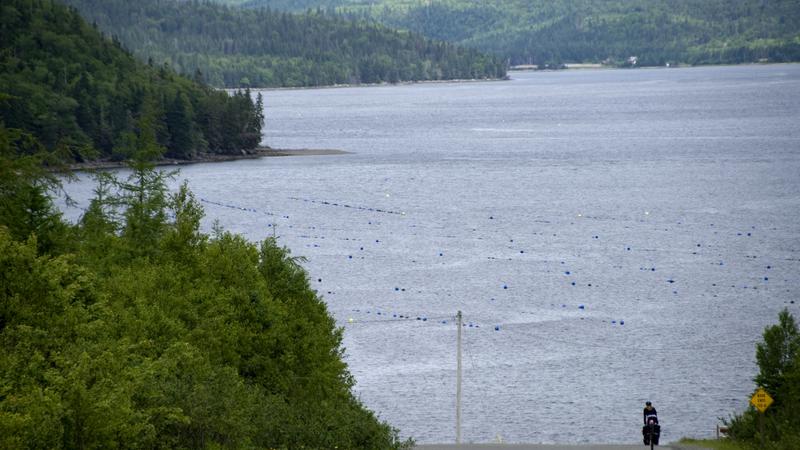 Parue dans : De Ship Harbour à Antigonish