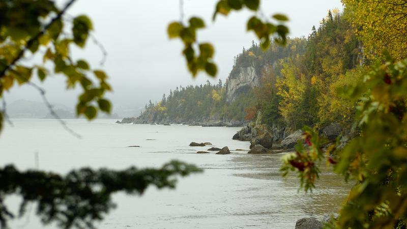 Parue dans : Parc national du Bic