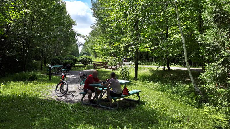 Parue dans : Parc linéaire Le Grand Tronc