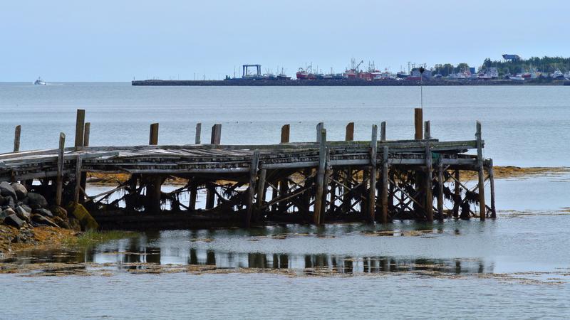 Parue dans : L'île Grand Manan