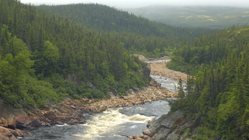 Parue dans : La côte du Labrador