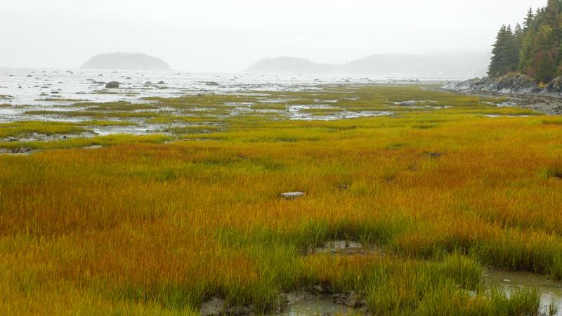 Parue dans : Parc national du Bic