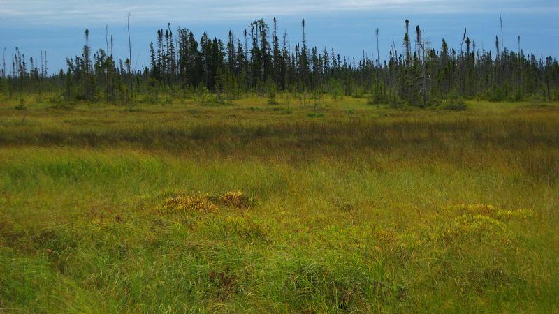 Parue dans : Lac Saint-Jean