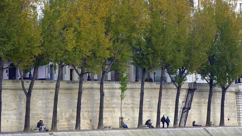 Parue dans : Paris