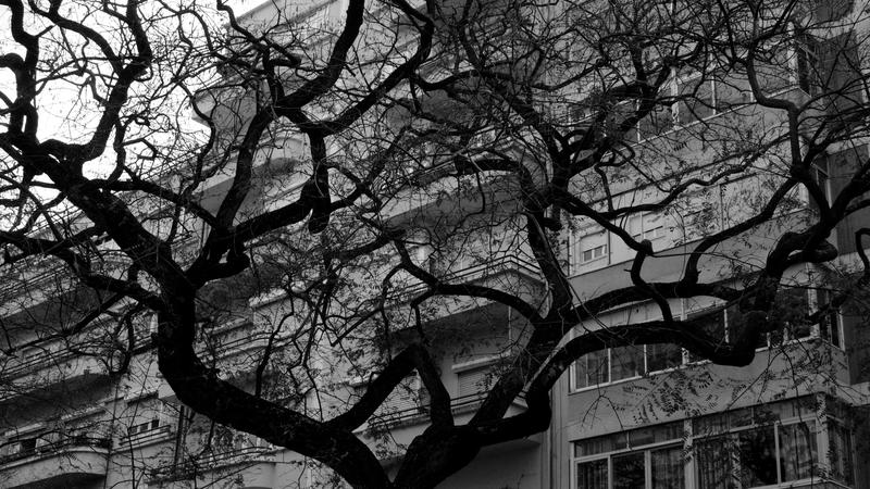 Parue dans : Lisbonne en noir et blanc