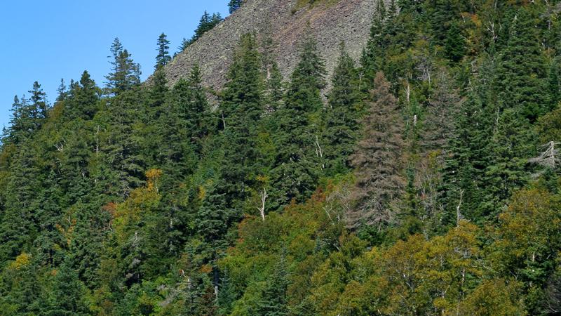 Parue dans : L'île Grand Manan