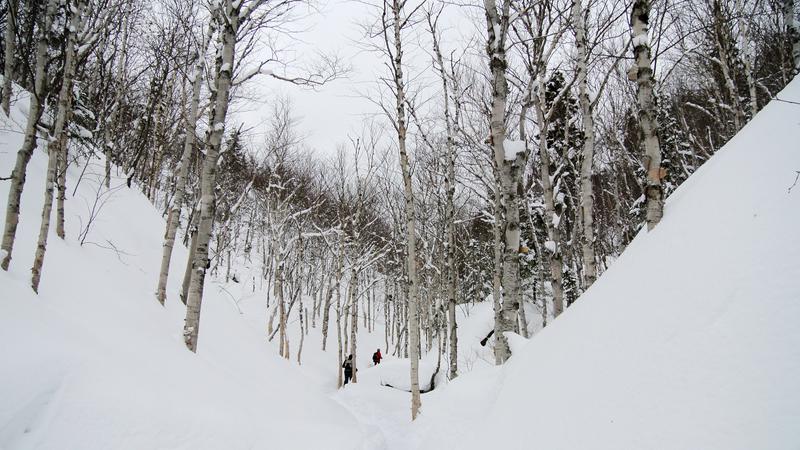 Parue dans : Le fabuleux royaume des Monts-Valin