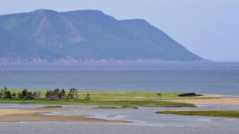 Parue dans : Iles du Cap Breton (Cabot Trail)
