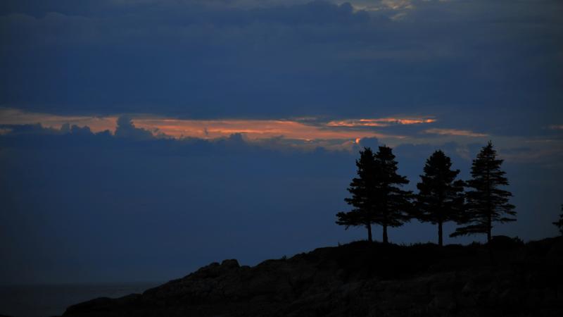 Parue dans : Parc national du Bic