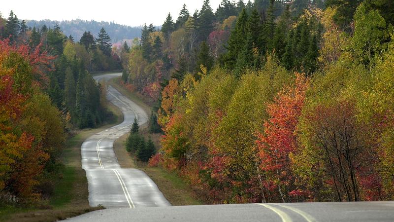 Parue dans : Parc national de la Mauricie