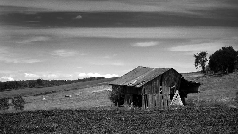 Parue dans : Abandonnés