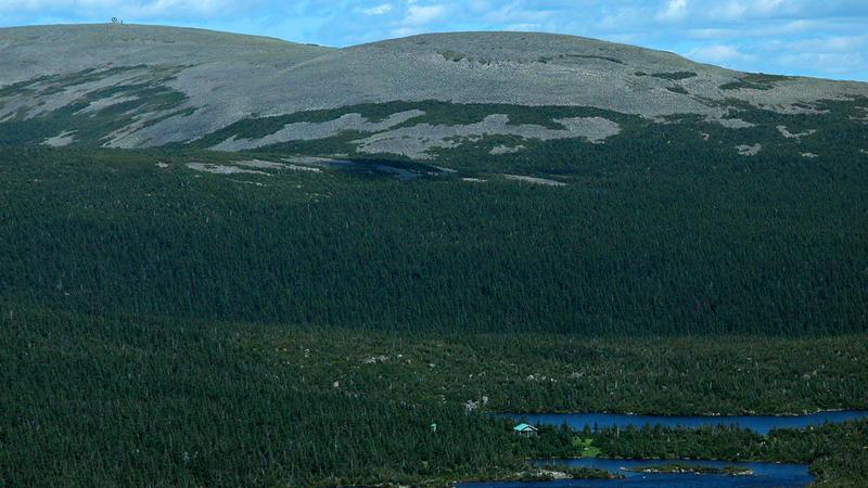 Parue dans : Randonnée du mont Jacques-Cartier au mont Albert