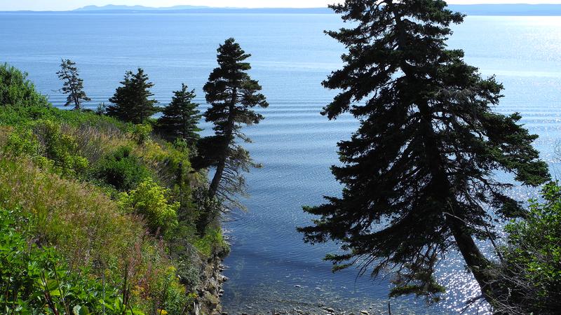 Parue dans : Parc national Forillon