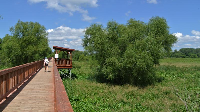 Parue dans : Parc Écomaritime de l'Anse-du-Port