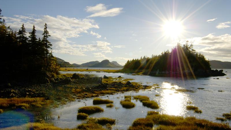 Parue dans : Parc national du Bic