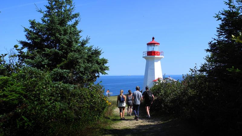 Parue dans : Parc national Forillon