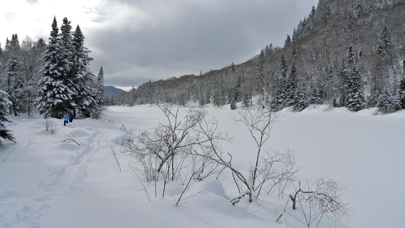 Parue dans : Parc national de la Jacques-Cartier