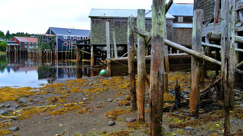 Parue dans : L'île Grand Manan