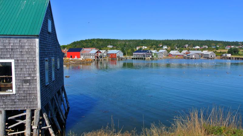 Parue dans : L'île Grand Manan