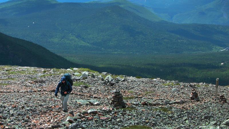 Parue dans : Randonnée du mont Jacques-Cartier au mont Albert