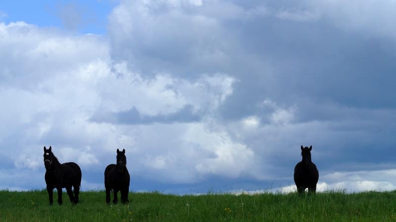 Parue dans : Lac Saint-Jean