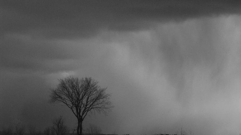 Parue dans : Paysage en noir et blanc