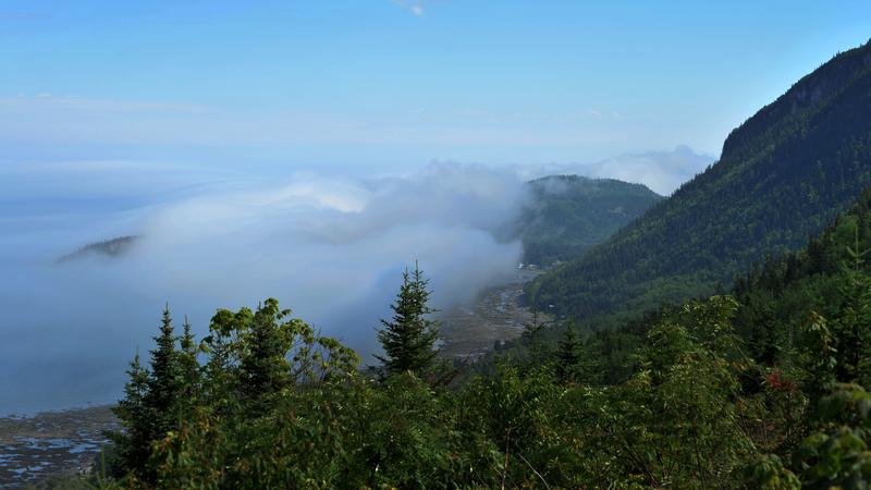 Parue dans : Parc national du Bic