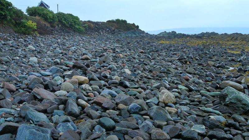 Parue dans : L'île Grand Manan