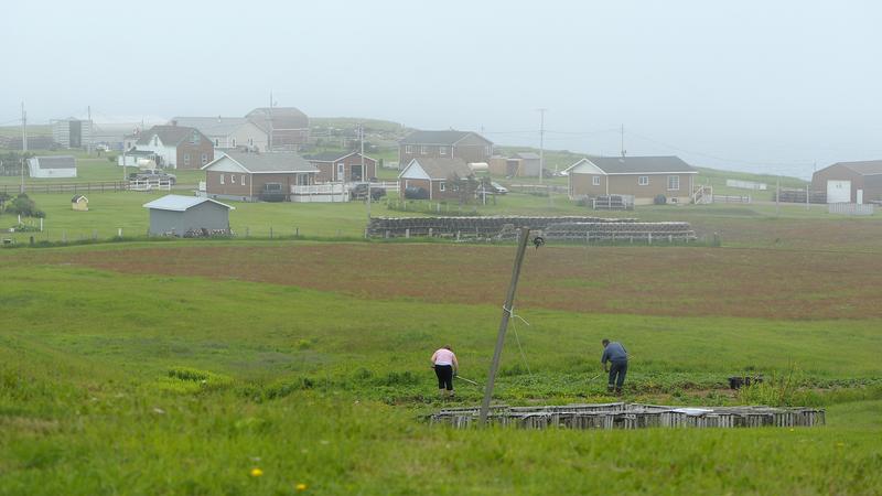 Parue dans : Îles-de-la-Madeleine