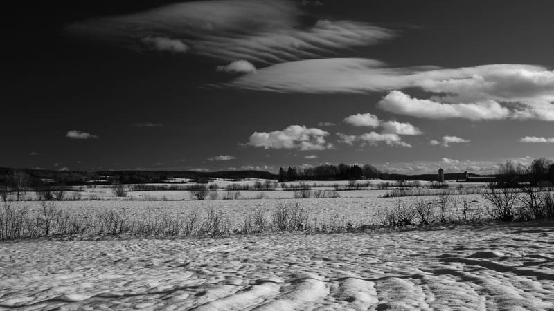 Parue dans : Paysage en noir et blanc