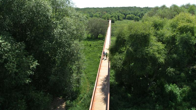 Parue dans : Parc Écomaritime de l'Anse-du-Port