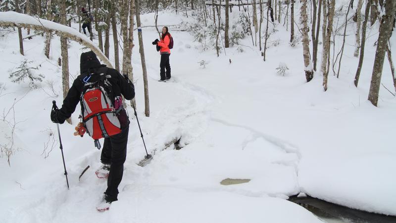 Parue dans : Parc naturel régional de Portneuf