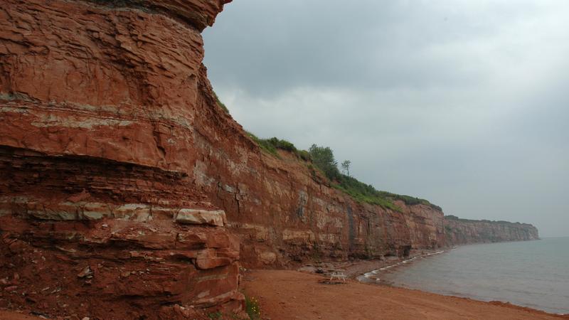 Parue dans : Gaspésie