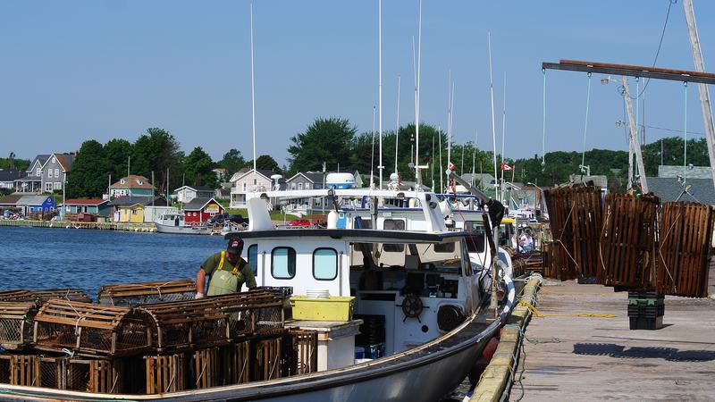 Parue dans : L'Île-du-Prince-Édouard
