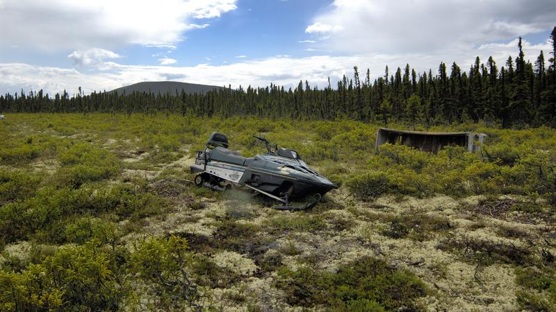 Parue dans : La côte du Labrador