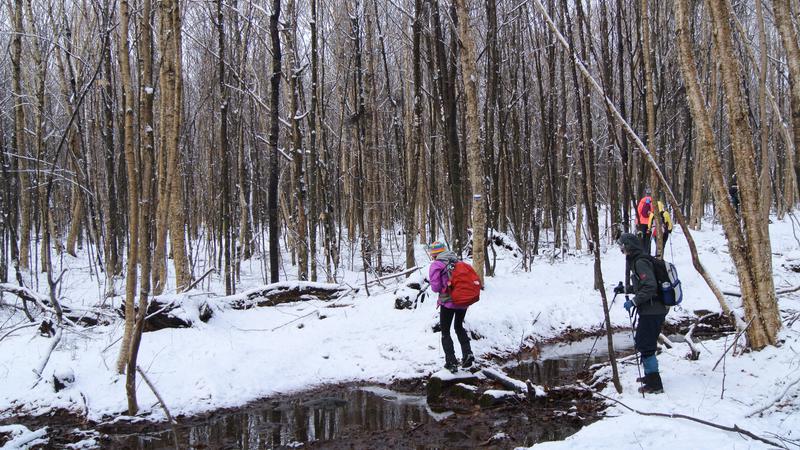 Parue dans : Parc naturel régional de Portneuf