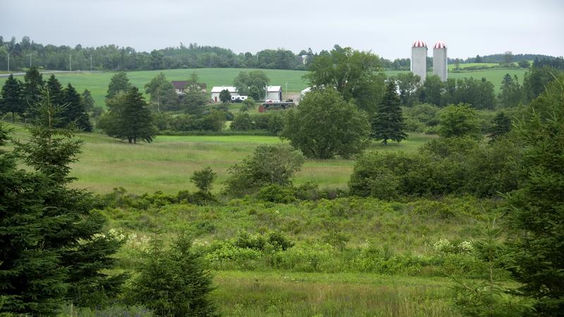 Parue dans : D'Antigonish à Tignish N.É. 2007