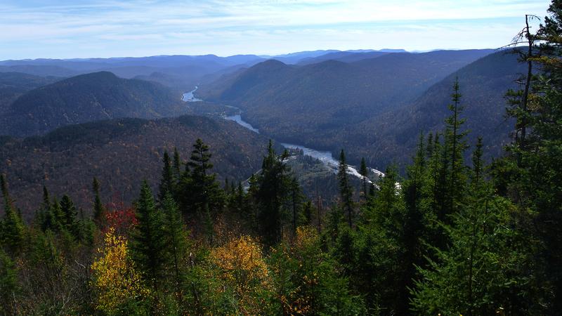 Parue dans : Parc national de la Jacques-Cartier