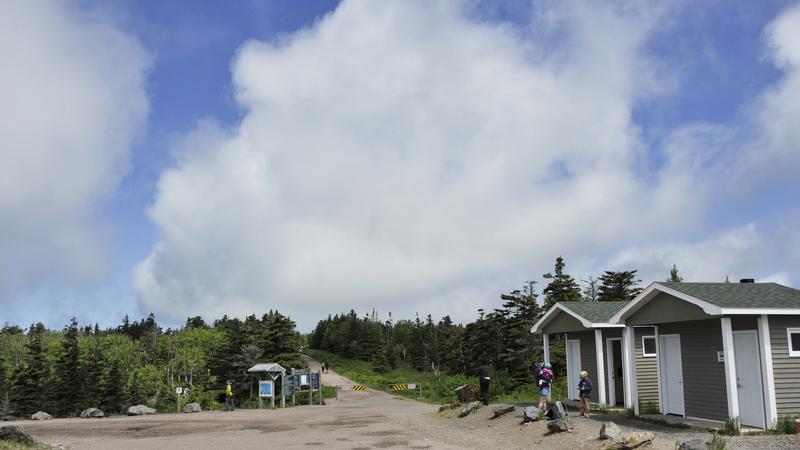 Parue dans : Skyline Trail ( Île du Cap Breton )