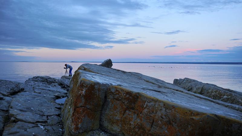 Parue dans : L'Île-du-Pot