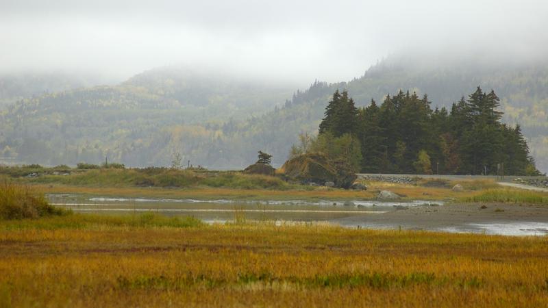 Parue dans : Parc national du Bic