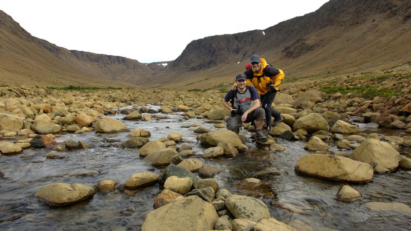 Parue dans : Terre Neuve deuxième voyage