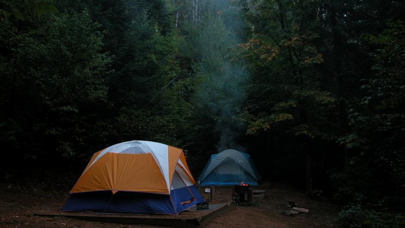 Parue dans : Parc national de la Mauricie