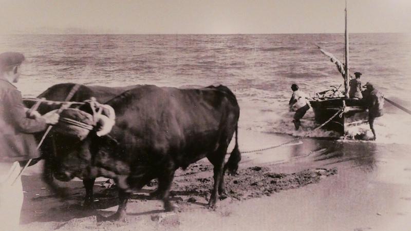 Parue dans : La Carihuela