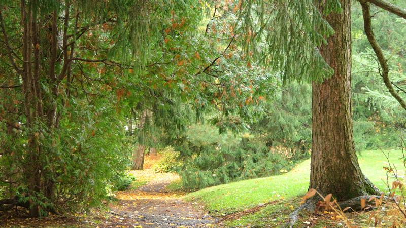 Parue dans : Bois-de-Coulonge