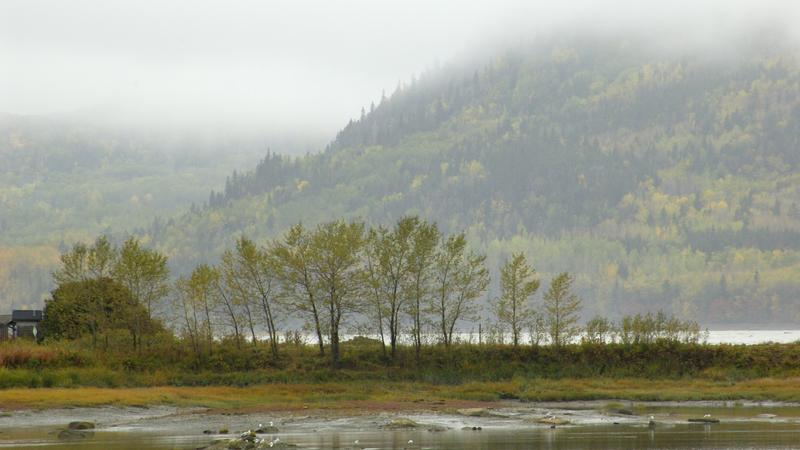 Parue dans : Parc national du Bic