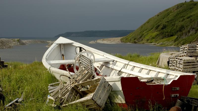 Parue dans : Terre Neuve deuxième voyage