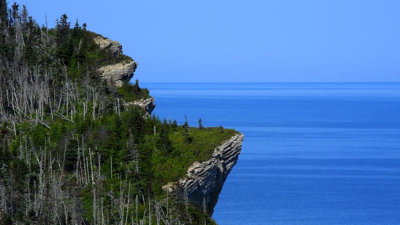 Parue dans : Parc national Forillon