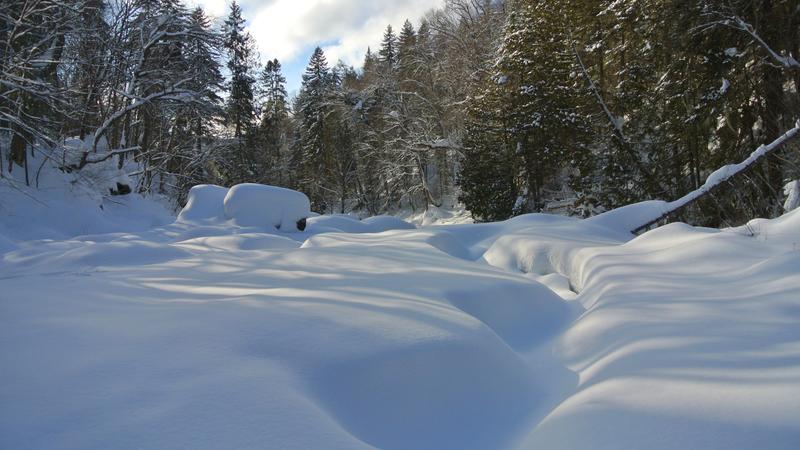Parue dans : Parc national de la Jacques-Cartier