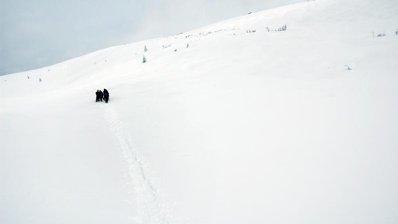 Parue dans : Monts Uapishka (Groulx)